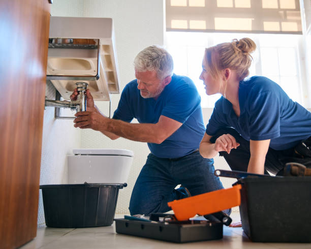 Best Sprinkler Systems  in Brentwood, MD